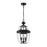 Z-Lite Westover 3 Light Outdoor Chain Mount Ceiling, Black/Beveled - 580CHB-BK