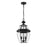 Z-Lite Westover 3 Light Outdoor Chain Mount Ceiling, Black/Beveled