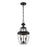 Z-Lite Westover 2 Light Outdoor Chain Mount Ceiling, Black/Beveled - 580CHM-BK