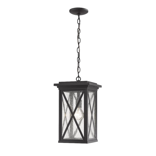 Z-Lite Brookside 1 Light Outdoor Chain Mount Ceiling, Black/Seedy - 583CHB-BK