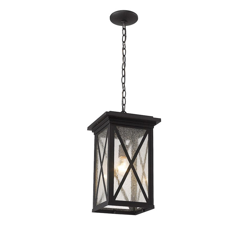 Z-Lite Brookside 1 Light Outdoor Chain Mount Ceiling, Black/Seedy