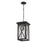 Z-Lite Brookside 1 Light Outdoor Chain Mount Ceiling, Black/Seedy