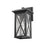 Z-Lite Brookside 1 Light Outdoor Wall Sconce, Black, Clear Seedy