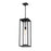 Z-Lite Dunbroch 1 Light 27" Outdoor Chain Mount Ceiling, Black/Clear - 584CHB-BK