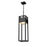 Z-Lite Barwick 1 Light 27" Outdoor Chain Mount Ceiling, Black