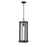 Z-Lite Glenwood 1 Light 22" Outdoor Chain Mount Ceiling, Black/Clear - 586CHB-BK