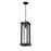 Z-Lite Glenwood 1 Light 22" Outdoor Chain Mount Ceiling, Black/Clear