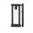 Z-Lite Glenwood 1 Light Outdoor Wall Sconce, Black, Clear