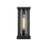 Z-Lite Glenwood 1 Light Outdoor Wall Sconce, Black, Clear