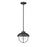 Z-Lite Ansel 1 Light Outdoor Pendant