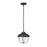 Z-Lite Ansel 1 Light Outdoor Pendant