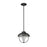 Z-Lite Ansel 1 Light Outdoor Pendant