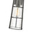 Z-Lite Helix 1 Light Outdoor Wall Sconce in Black/Clear Seedy