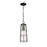 Z-Lite Helix 1 Light Outdoor Ceiling Mount, Black/Clear Seedy