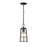 Z-Lite Helix 1 Light Outdoor Ceiling Mount, Black/Clear Seedy