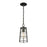 Z-Lite Helix 1 Light Outdoor Ceiling Mount, Black/Clear Seedy