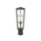 Z-Lite Helix 1 Light Outdoor Pier Mount, Black/Clear Seedy