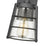 Z-Lite Helix 1 Light Outdoor Wall Sconce in Black/Clear Seedy