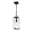 Z-Lite Sana 1 Light Outdoor Chain Mount Ceiling, Black/Seedy