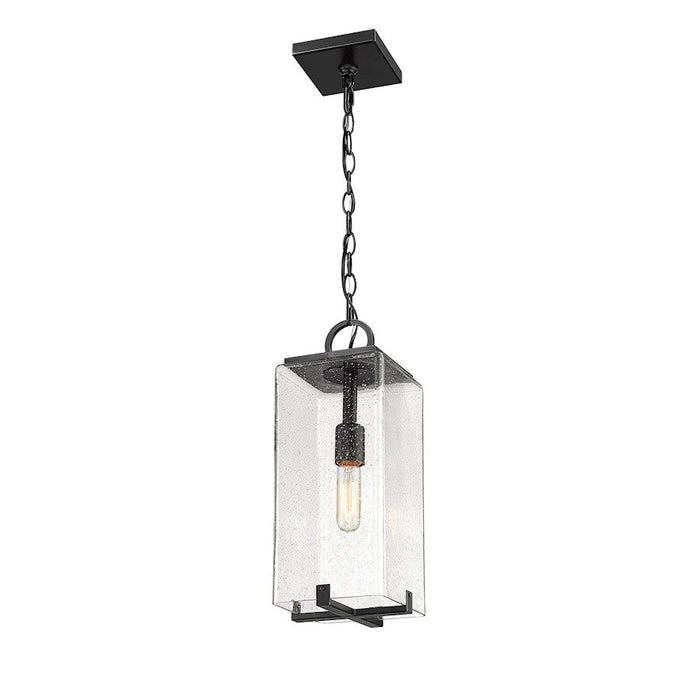 Z-Lite Sana 1 Light Outdoor Chain Mount Ceiling, Black/Seedy