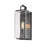 Z-Lite Sana 1 Light Outdoor Wall Sconce, Black/Seedy