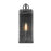 Z-Lite Sana 1 Light Outdoor Wall Sconce, Black/Seedy