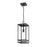 Z-Lite Nuri 1 Light Outdoor Ceiling Mount, Black/Clear