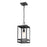 Z-Lite Nuri 1 Light Outdoor Ceiling Mount, Black/Clear