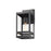 Z-Lite Nuri 1 Light Outdoor Wall Sconce in Black/Clear