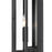 Z-Lite Lucian 2 Light Outdoor Wall Sconce in Black/Clear