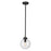 Z-Lite Laurent 1 Light Outdoor Pendant, Black/Clear Seedy - 599P8-BK