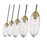 Z-Lite Arden 5 Light 5" Chandelier