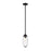 Z-Lite Arden 1 Light Pendant, Matte Black/Clear - 651P-ROD-MB