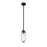 Z-Lite Arden 1 Light Pendant