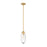 Z-Lite Arden 1 Light Pendant, Rubbed Brass/Clear - 651P-ROD-RB