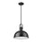 Z-Lite Melange 1 Light Pendant, Matte Black