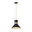 Z-Lite Soriano 1 Light 12" Pendant, Black/Heritage Brass, Black - 728P13-MB-HBR