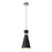 Z-Lite Soriano 1 Light 17" Pendant, Black/Brushed Nickel, Black - 728P8-MB-BN