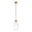 Z-Lite Monty 1 Light 17" Pendant, Heritage Brass/Clear - 738P17-HBR