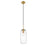 Z-Lite Monty 1 Light Pendant, Heritage Brass/Clear