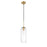 Z-Lite Monty 1 Light 22" Pendant, Heritage Brass/Clear - 738P22-HBR