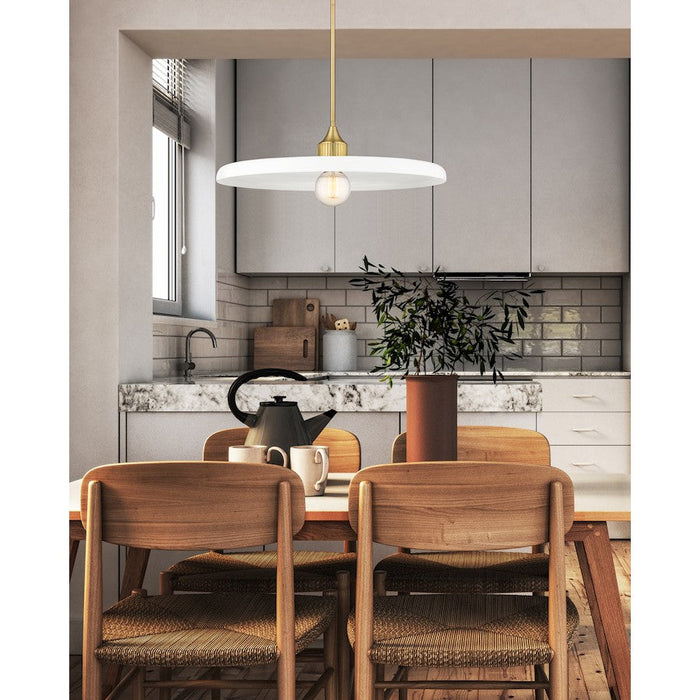 Z-Lite Paloma 1 Light Pendant