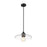 Z-Lite Paloma 1 Light Pendant