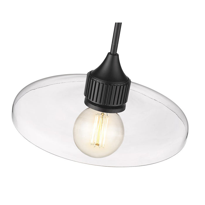 Z-Lite Paloma 1 Light Pendant