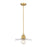 Z-Lite Paloma 1 Light 18" Pendant, Olde Brass/Clear - 821P14-OBR