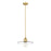 Z-Lite Paloma 1 Light Pendant