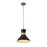 Z-Lite Soriano 1 Light 12" Pendant